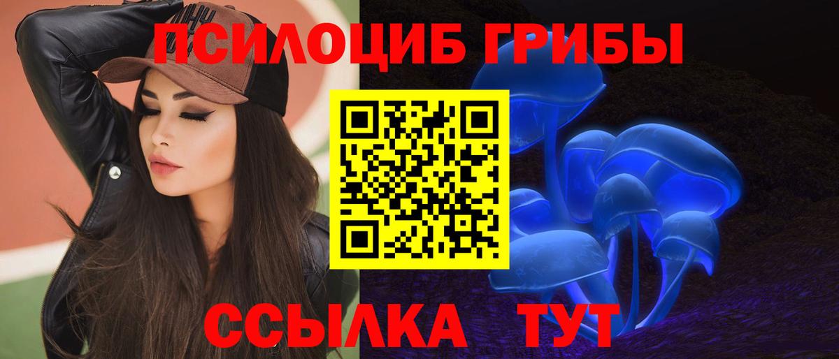 Галлюциногенные грибы мицелий Ноябрьск