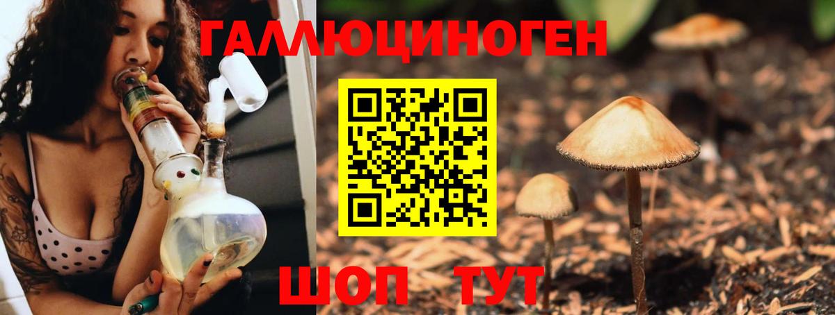 Ноябрьск  Псилоцибиновые грибы Psilocybe  сколько стоит  Вход с VPN 
