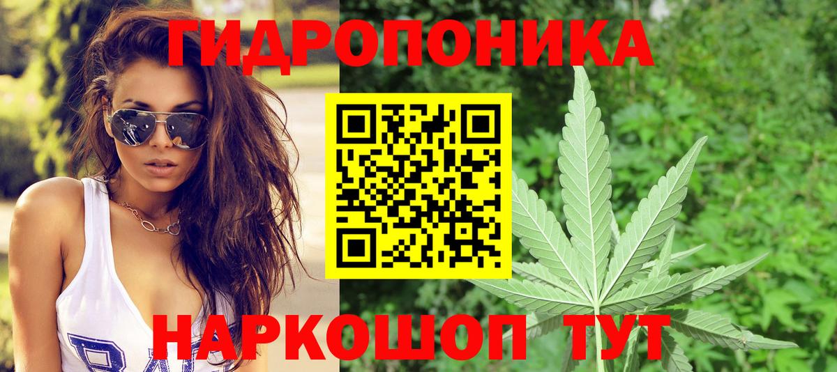 Бошки Шишки гибрид Ноябрьск